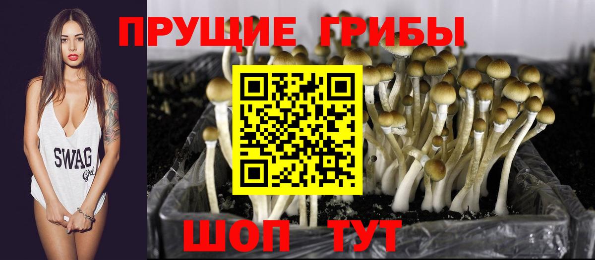 Псилоцибиновые грибы Psilocybine cubensis  Вход с VPN  Киреевск 