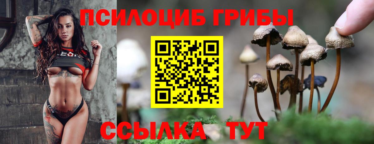 Галлюциногенные грибы GOLDEN TEACHER Киреевск
