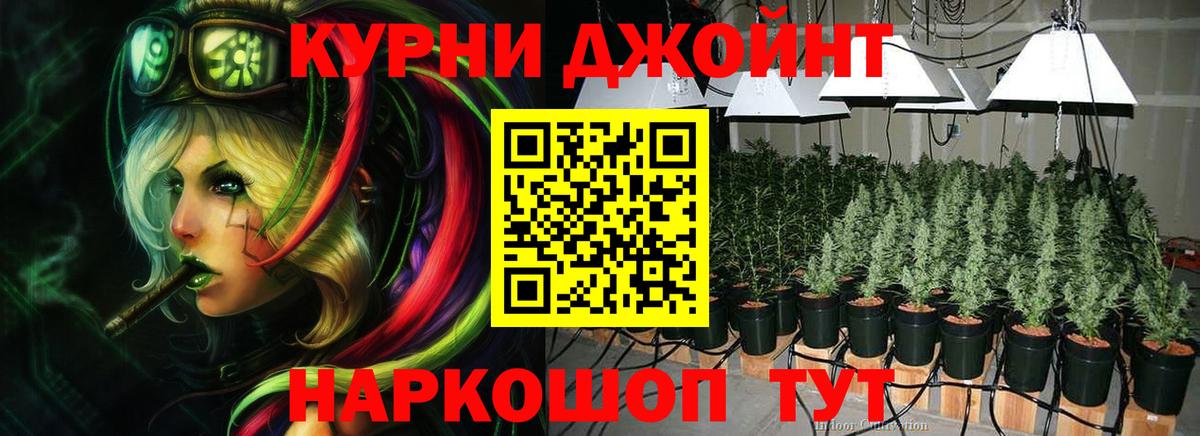 МАРИХУАНА конопля Киреевск